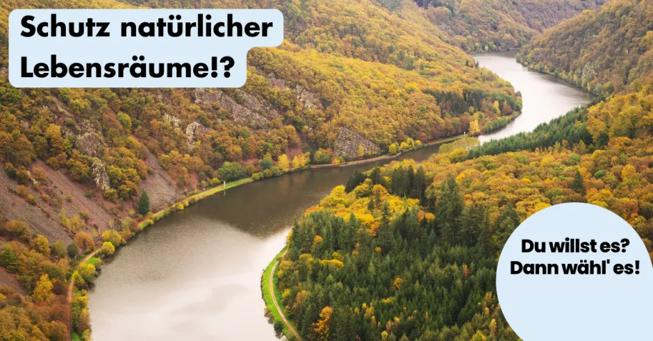 ohnelogo_linkedin_naturliche_lebensraume_fluss